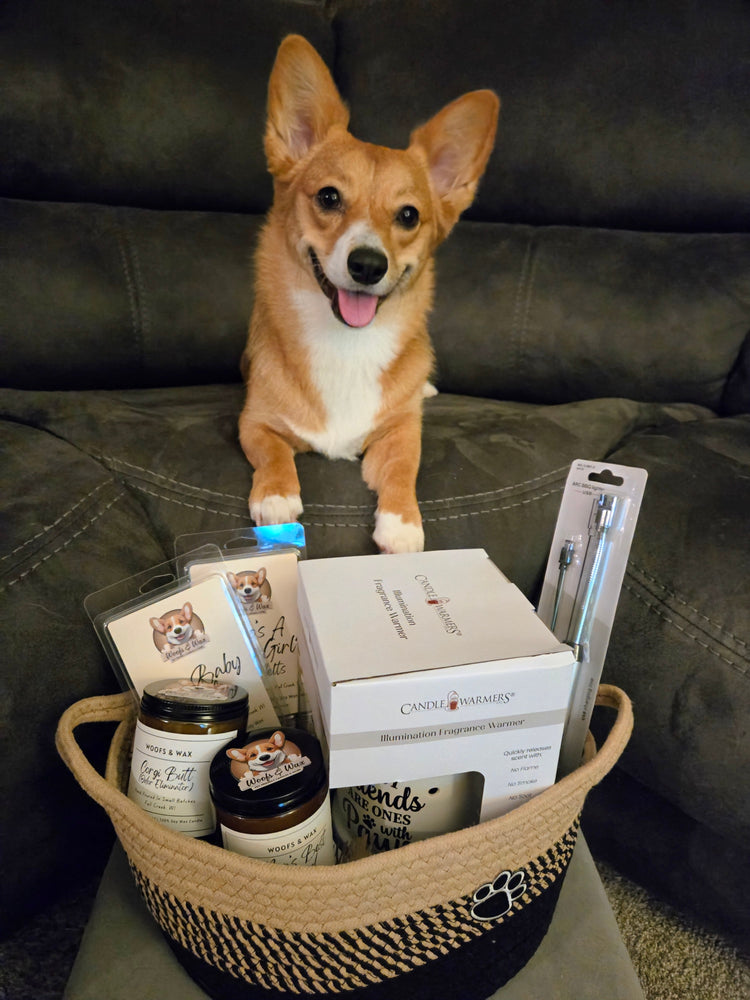 Accessories For Pet Lovers