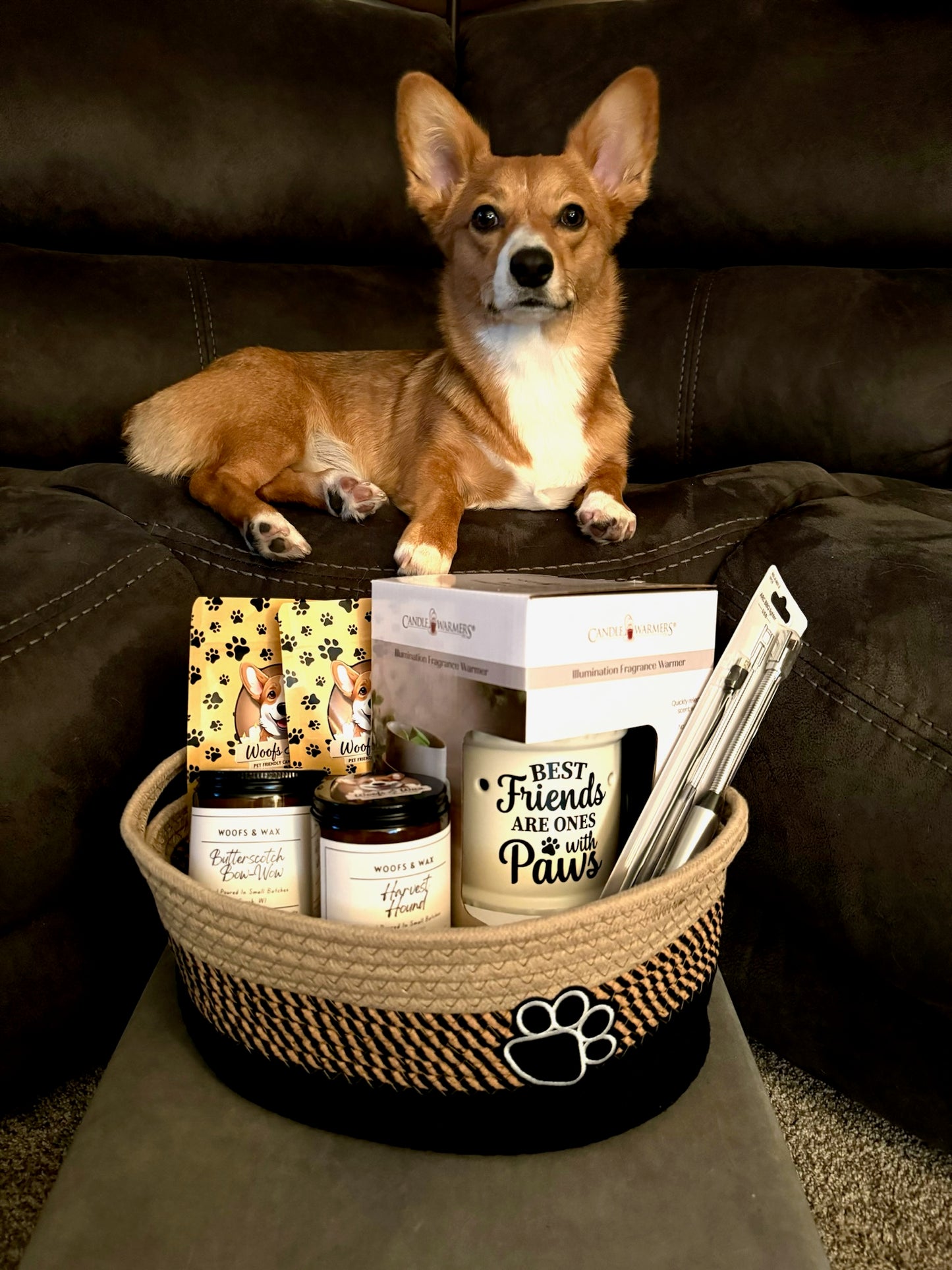 Pet-Themed Gift Basket