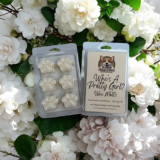 Pet-Safe Who's A Pretty Girl Wax Melt Clamshell Front & Back View