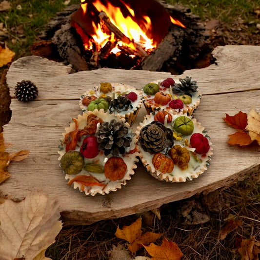 Fall Fire Starters, Top View