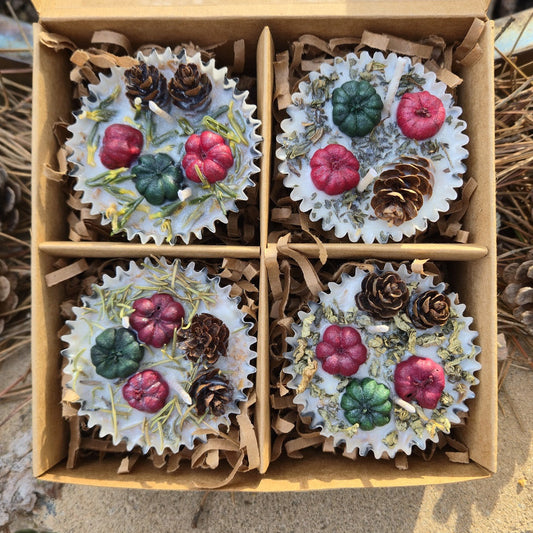 Christmas Fire Starters