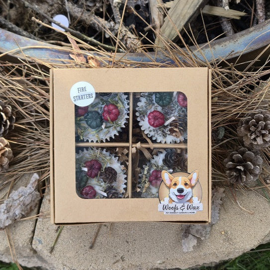 Christmas Fire Starters