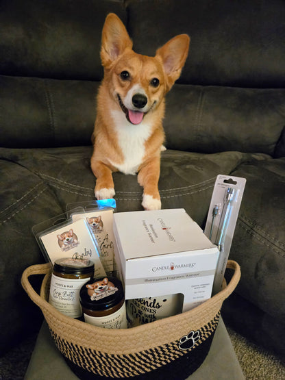 Corgi dog with pet themed gift basket with candles, wax melts, and warmer