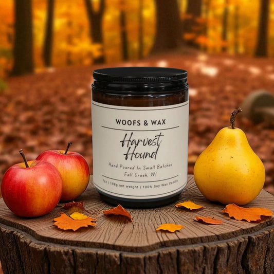 Candle labeled 'Woofs & Wax Harvest Hound' on a wooden stump with apples and a pear, set against an autumn forest background.