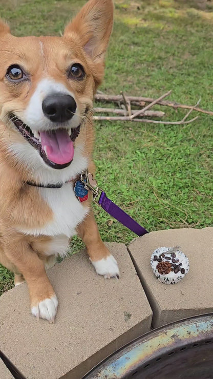 Fido's Firehouse Fire Starters 4pc - Fall